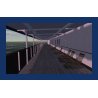 RMS MAURETANIA Addon pour Virtual Sailor NG