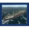 OCEAN CONVEYOR Cargo Addon pour Virtual Sailor NG