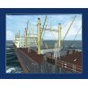 OCEAN CONVEYOR Cargo Addon pour Virtual Sailor NG