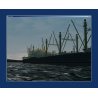 OCEAN CONVEYOR Cargo Addon pour Virtual Sailor NG