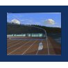 RUNABOUT pour Vehicle Simulator